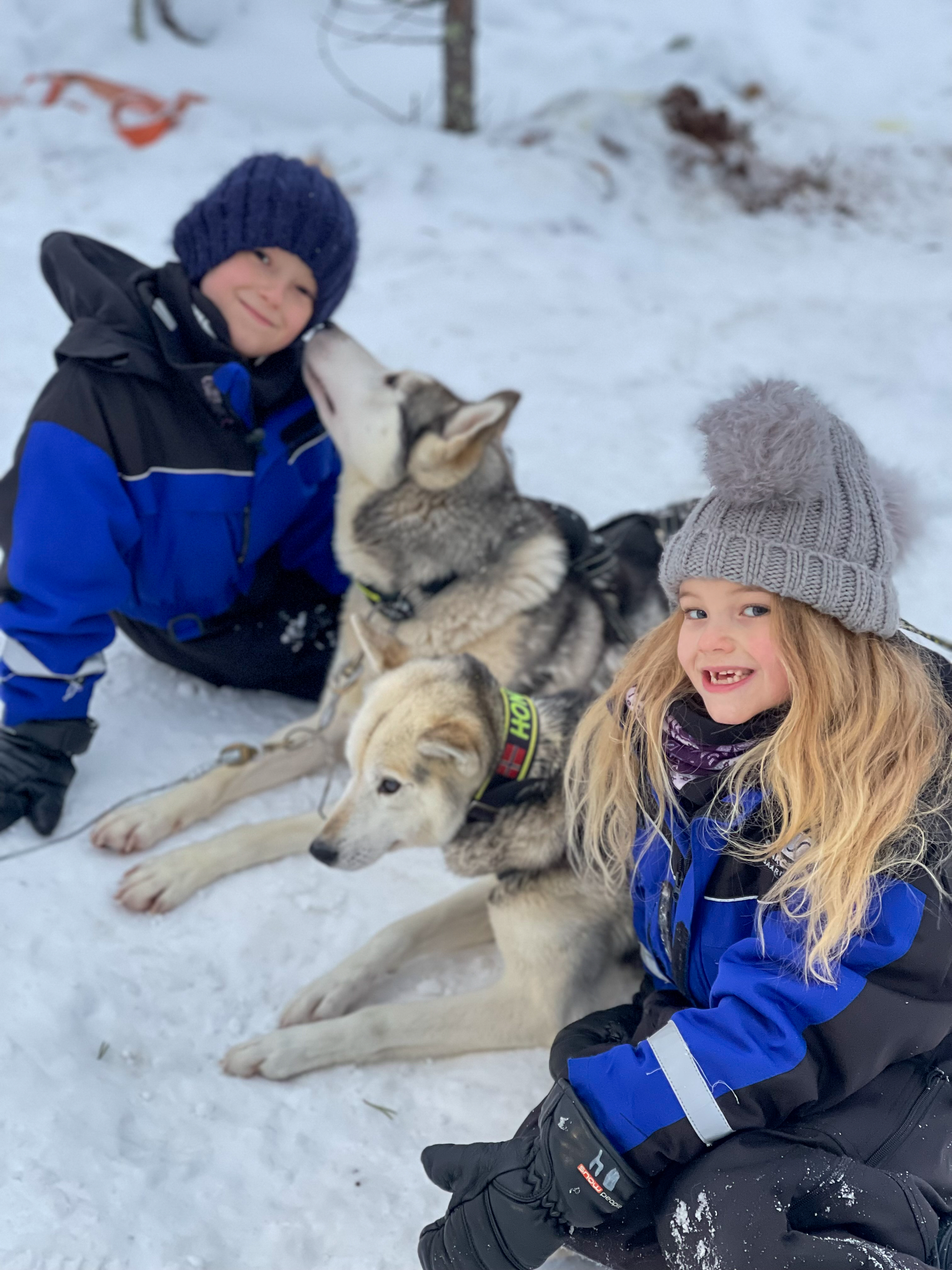 children with huskies