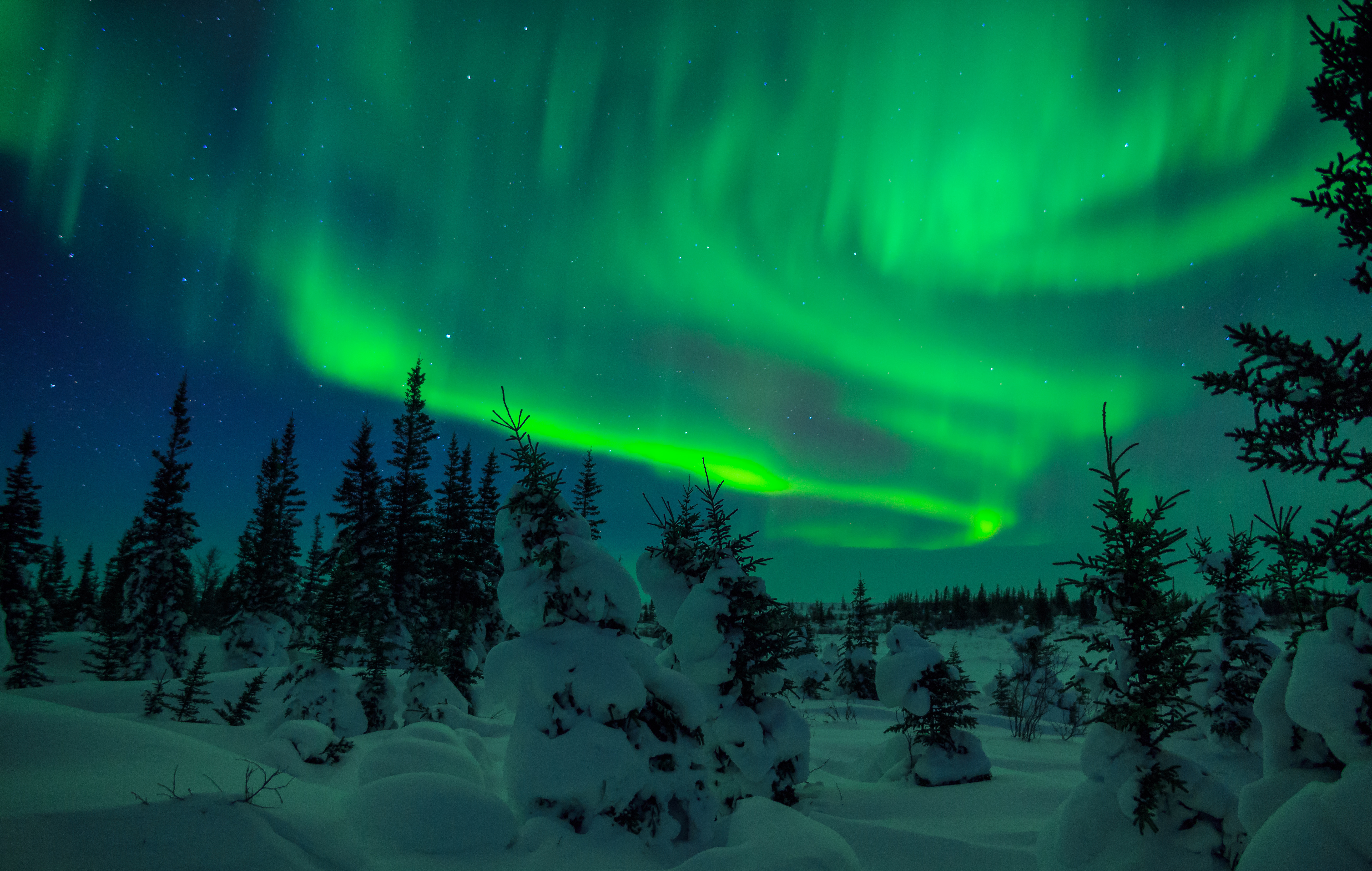 Northern lights in Lapland