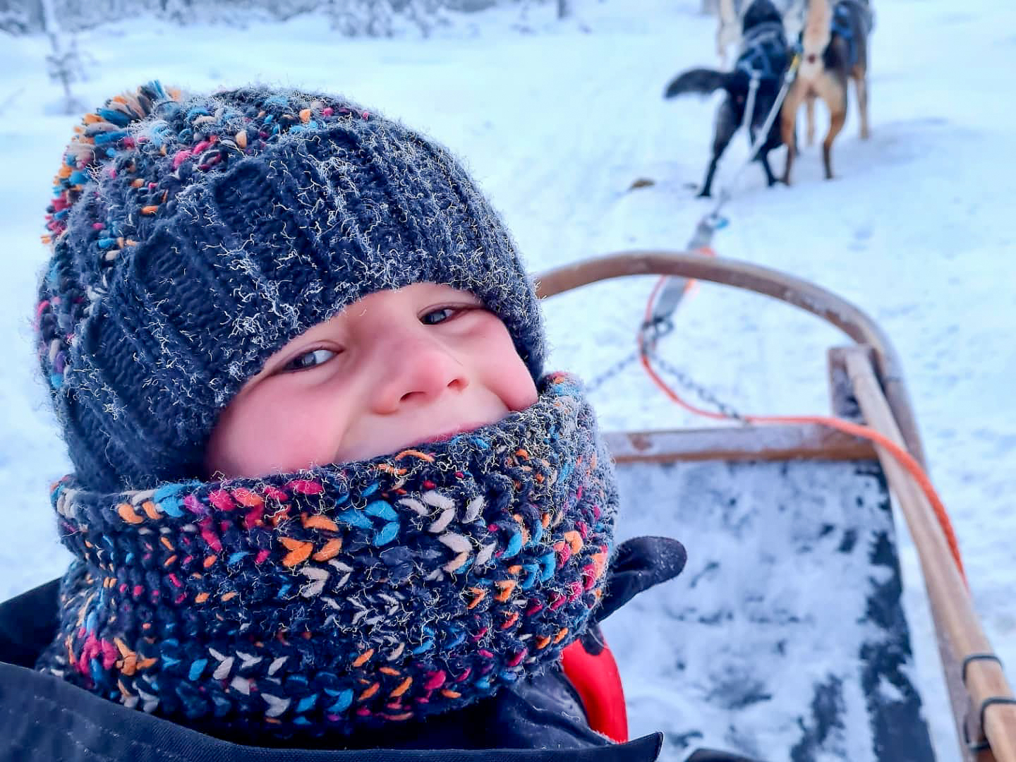 happy child in Lapland