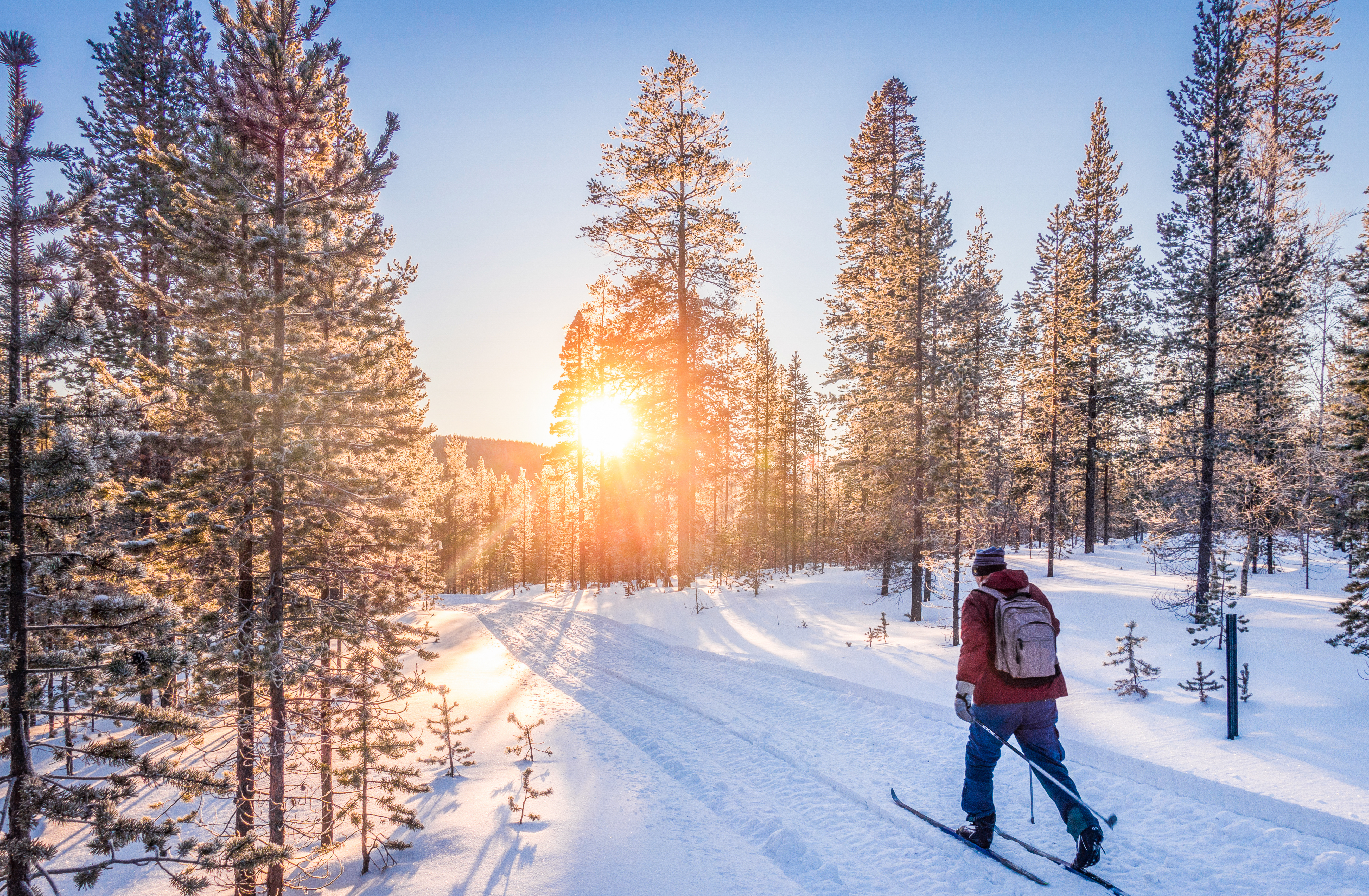 cross country skiing in Lapland