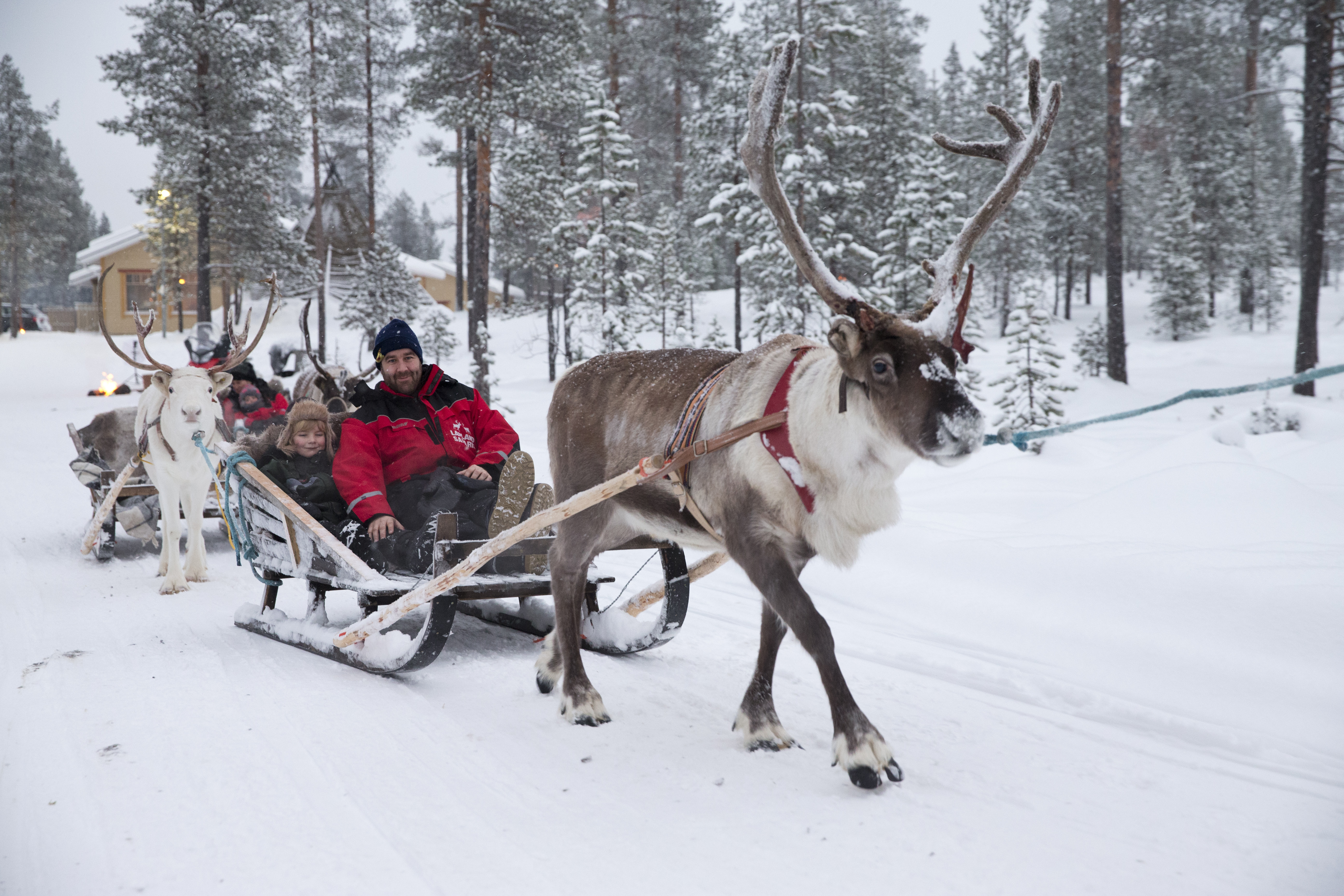 family on reindeer sleigh